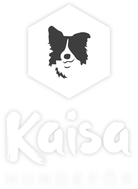 Kaisa Hundefor